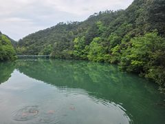 -大慈岩风景区