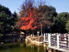 -白马涧龙池景区