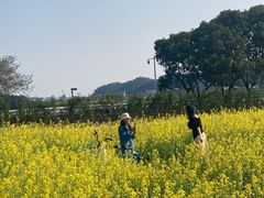 -长洲岛