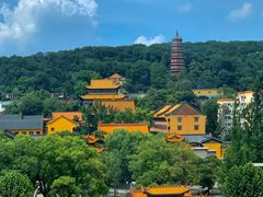 -循礼门鲜花花市(武汉循礼门店)