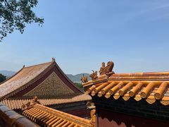 -颐和园