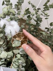 -JU·旧友日式美甲美睫工作室