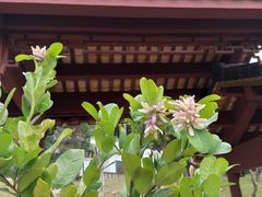 -广州神农草堂中医药博物馆
