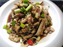 -晚归月亮湾私家菜(临邑路店)