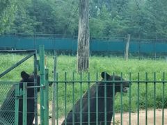 -秦皇岛野生动物园