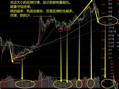 -上海证券交易所(上海证券大厦北塔店)