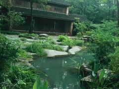 -杭州植物园