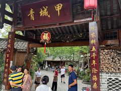 -青城甲(青城山店)