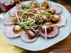 油泼扇贝-天伦海鲜·老味道·青岛菜(栈桥天主教堂店)