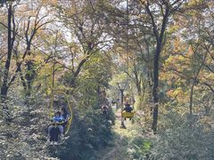-WeLope紫金山探险公园