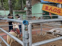 -1982农场
