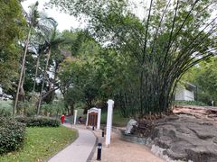 景点-晓港公园