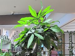 -云海肴·汽锅鸡·云南菜(广安门天虹店)