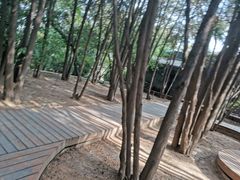 -白塔山公园