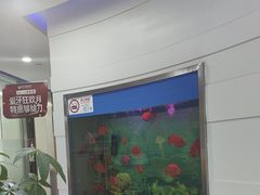 -雅悦齿科(顾村公园店)