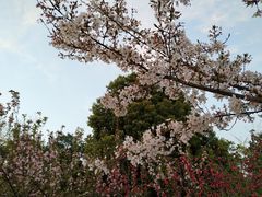 -江南大学(蠡湖校区)