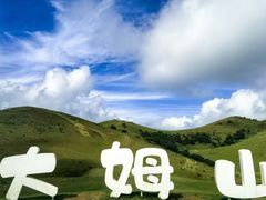 -大姆山草场