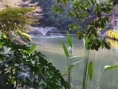 -杭州植物园
