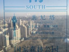 -龙塔