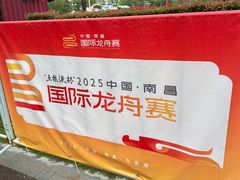 -九龙湖公园