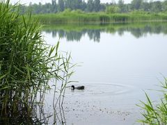 -绿堤公园