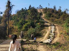 -青龙山国家森林公园