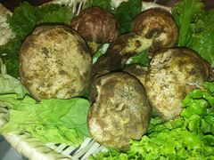 -蔼若春.传承三十年云南菜(金碧公园店)