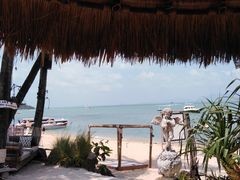 -Coco Tam’s