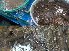 -京贸物联批发市场