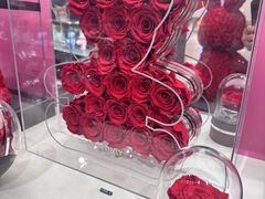 -ROSEONLY诺誓(沈阳万象城店)