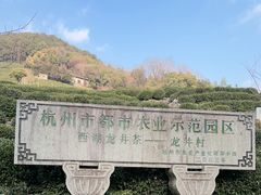 -龙井村