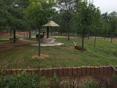 -石家庄市动物园