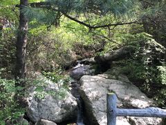 -王顺山国家森林公园