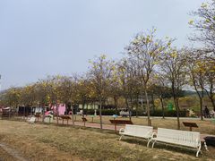 -盈香心动乐园