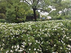 -共青国家森林公园-售票处