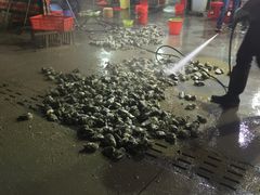 -蚝专家(北滘店)