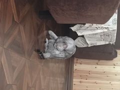 隅Cafe-隅cafe(傅厚岗店)