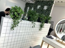 -飞梵造型