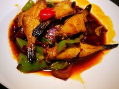 -酒肉行·虎子盐筋烤肉(大寨路店)