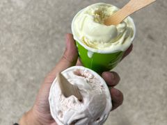 -Dooley's Premium Ice Cream
