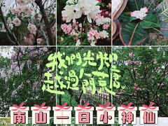 -南山植物园