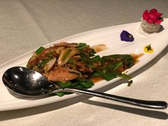 xo酱爆炒小象拔蚌-皇朝会.经典传统粤菜(外滩店)