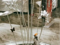 -红辣椒·川菜·火锅(张杨路店)