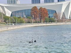 -东方体育中心(地铁站)