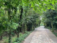 -虞山风景区