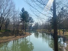 -尚贤河湿地