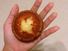 皇椰挞-芳叔(动漫星城店)
