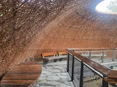 -东寨港红树林旅游区