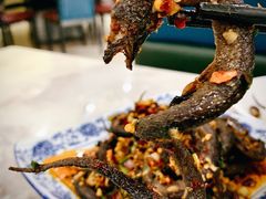 野生盘龙鳝-红色湘菜馆(春风店)