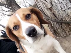 -人民防洪胜利纪念塔